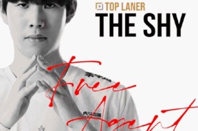 包含TheShy赛事官方发布大胜新规，IG争议不断！的词条